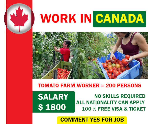 Canada Jobs with Visa Sponsorship 2023/2024