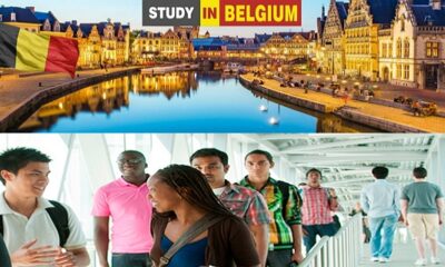 Live Study and work opportunities in Belgium for international students