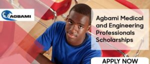 Agbami Scholarship Application