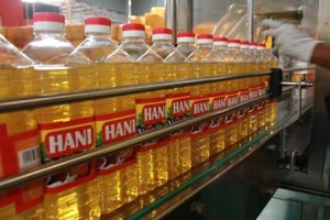 Palm Kernel Oil Business Plan Free PDF Download (UPDATED)