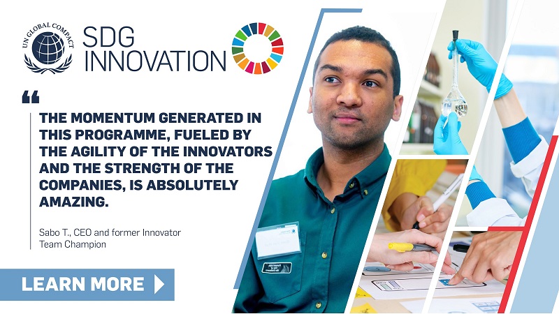 SDG Innovation Accelerator for Young Professionals 2023