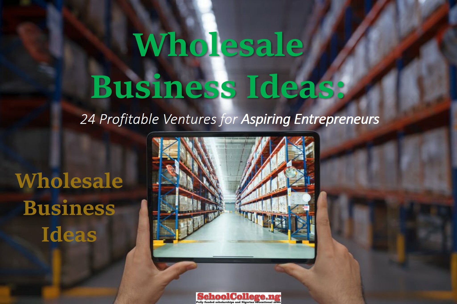 Wholesale Business Ideas